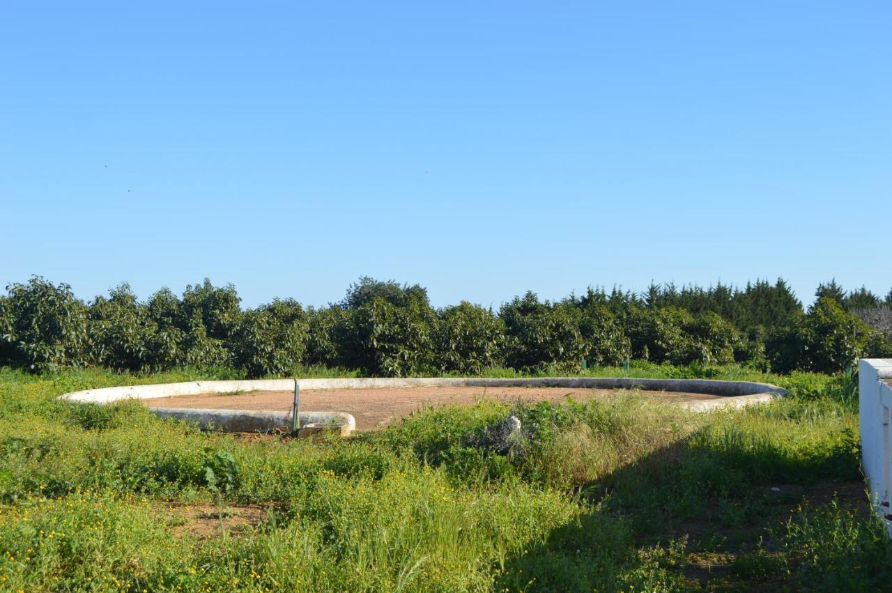 Quinta Das Figueiras Vila Nova de Cacela Eksteriør bilde